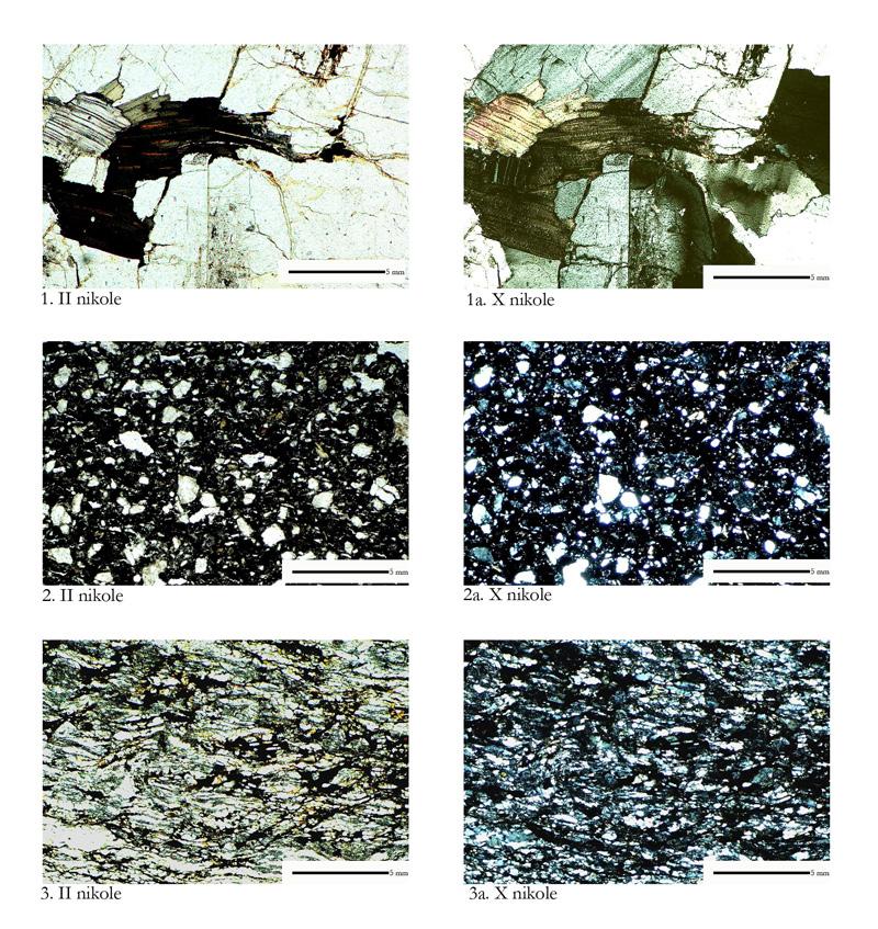 46 Katalog zabytków i analiz petrograficznych Ryc. 1. 1 Bardo, p.c. 53, granit dwułyszczykowy; 2 Bytom Odrzański, p.