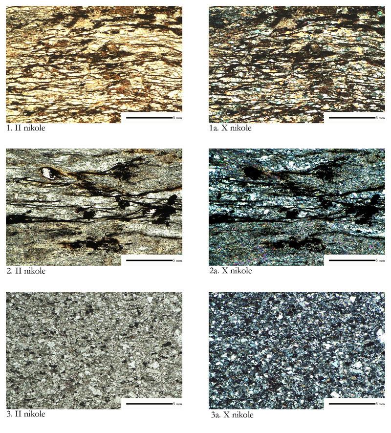 66 Katalog zabytków i analiz petrograficznych Ryc. 21. 1 Przedmoście, p.c. 113, łupek kwarcowo-skaleniowy z hematytem; 2 Ryczyn, p.