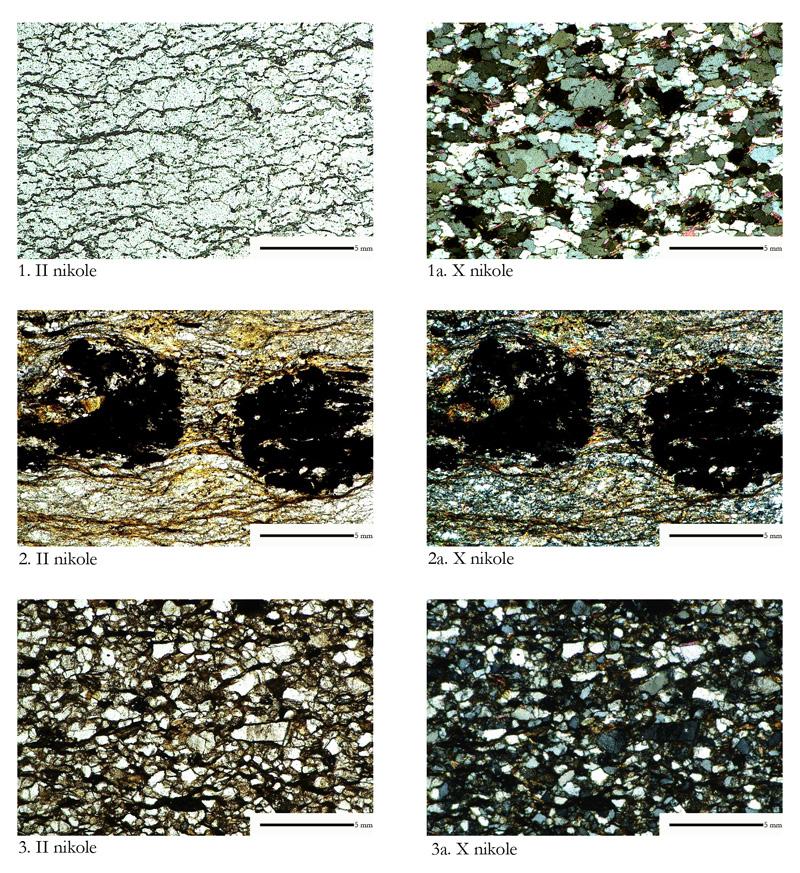 Katalog zabytków i analiz petrograficznych 67 Ryc. 22. 1 Ryczyn, p.c. 72, kwarcyt; 2 Ryczyn, p.