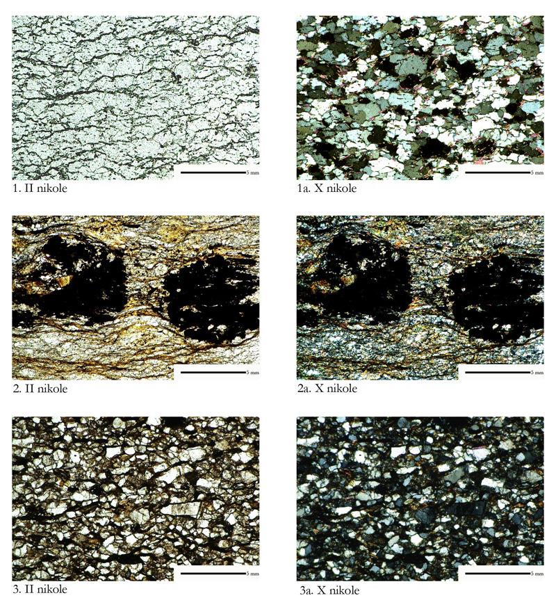 Katalog zabytków i analiz petrograficznych 67 Ryc. 22. 1 Ryczyn, p.c. 72, kwarcyt; 2 Ryczyn, p.