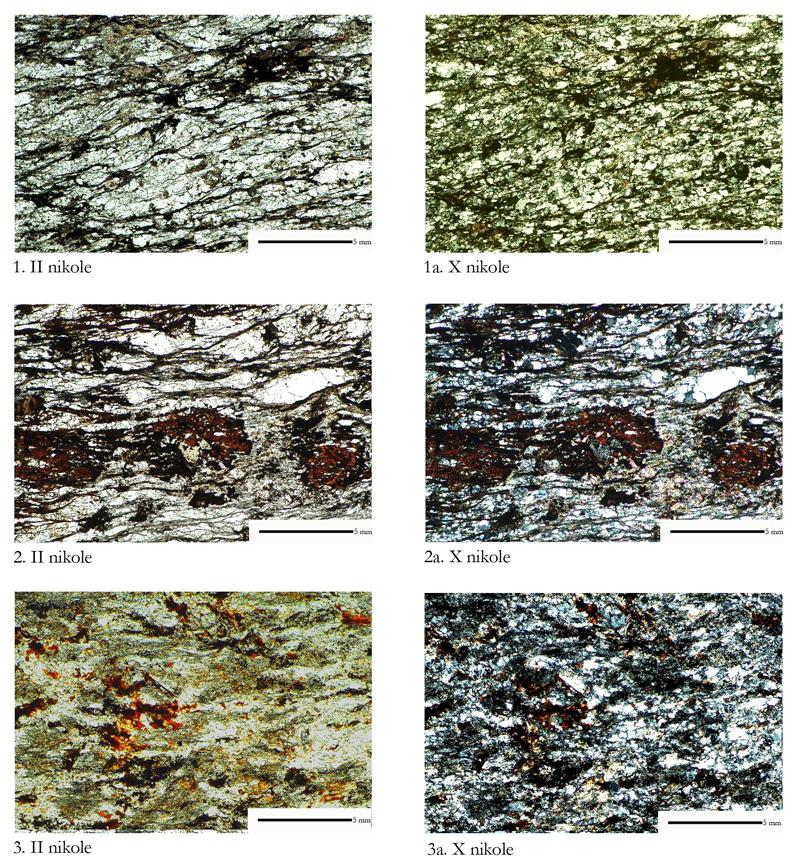 Katalog zabytków i analiz petrograficznych 69 Ryc. 24. 1 Ryczyn, p.c. 78, łupek kwarcowo-skaleniowy; 2 Ryczyn, p.