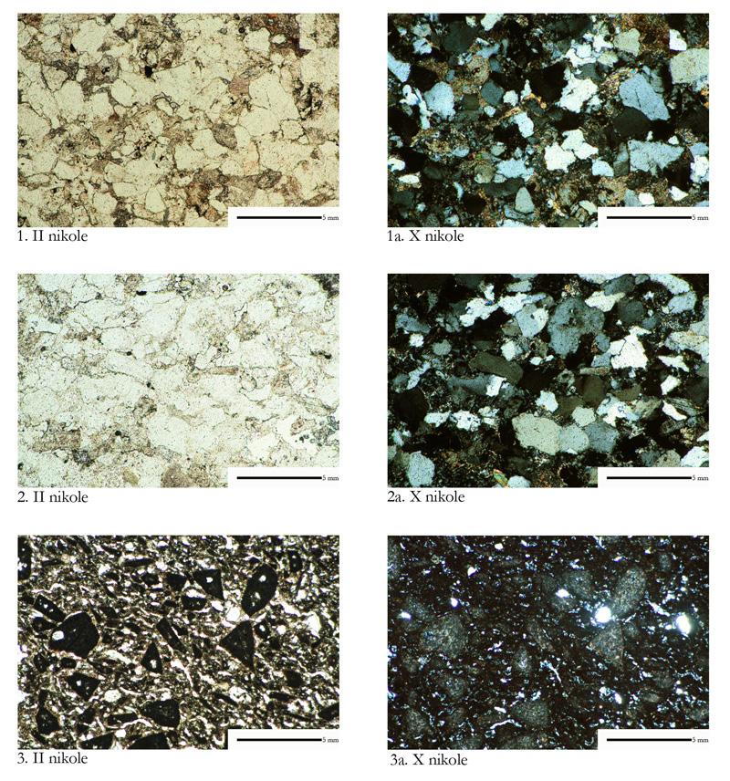 76 Katalog zabytków i analiz petrograficznych Ryc. 33. Wrocław-Ostrów Tumski: 1 p.c. 22, piaskowiec glaukonitowy; 2 p.