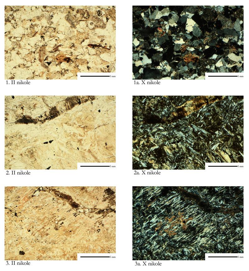 78 Katalog zabytków i analiz petrograficznych Ryc. 35. Wrocław-Ostrów Tumski: 1 p.c. 28, piaskowiec średnioziarnisty; 2 p.