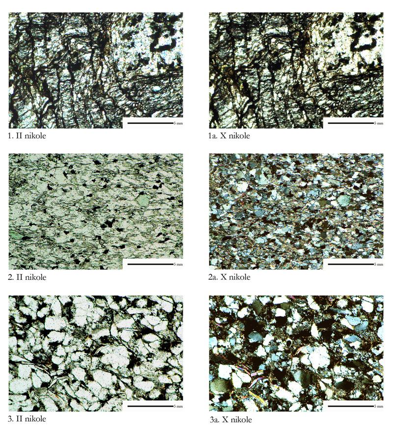 Katalog zabytków i analiz petrograficznych 81 Ryc. 38. Wrocław-Ostrów Tumski: 1 p.c. 48, mułowiec; 2 p.