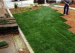 Wilgotność gleby jest czynnikiem ograniczającym (ryzyka) Porównanie metod zakładania trawnika Zadarnianie (trawnik z