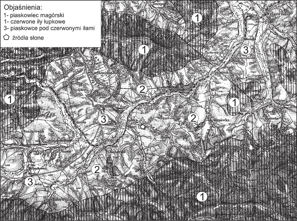 Piotr Kłapyta Ryc. 1. Najstarsza mapa geologiczna Rabki i okolic z 1895 r., opublikowana w Atlasie Geologicznym Galicyi (http://winntbg.bg.agh.edu.