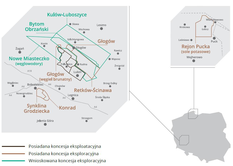 Sprawozdanie Zarządu z działalności Grupy Kapitałowej w I półroczu r.