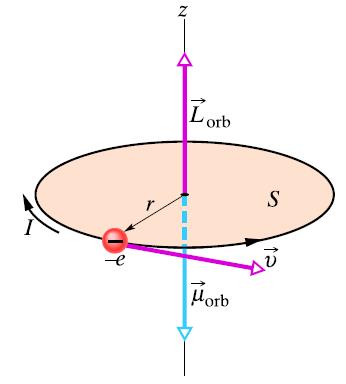 MAGNETYZM ELEKTRONU Elektron ma także moment pędu względem jądra atomu, zwany orbitalnym momentem pędu, oraz związany z nim orbitalny moment magnetyczny.