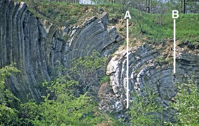 1. Zadania Zadanie 133. Na fotografii przedstawiono fałd obalony strukturę geologiczną widoczną w odsłonięciu geologicznym w rezerwacie skalnym w Kielcach. Literami oznaczono wybrane warstwy skalne.