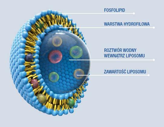 biotechnologii, oraz farmacji.