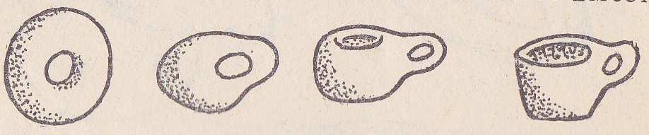 z powrotem za pomoca ciagłej deformacji paczek (torus) jest równoważny (homeomorficzny) z filiżanka