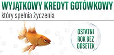 Sprzedaż kredytów i leasingów samochodowych (mln zł) Wartość