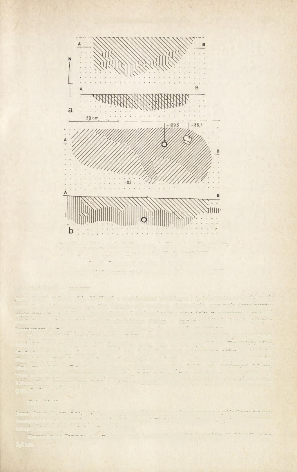 DWA CMENTARZYSKA W GOŹDZIKU 141. Ryc. 9. Goździk, woj. Siedlce, stan. 1. Plany i profile grobów; a grób 10/60 (fragment planu i profil); b - grób 19/60 Site 1.