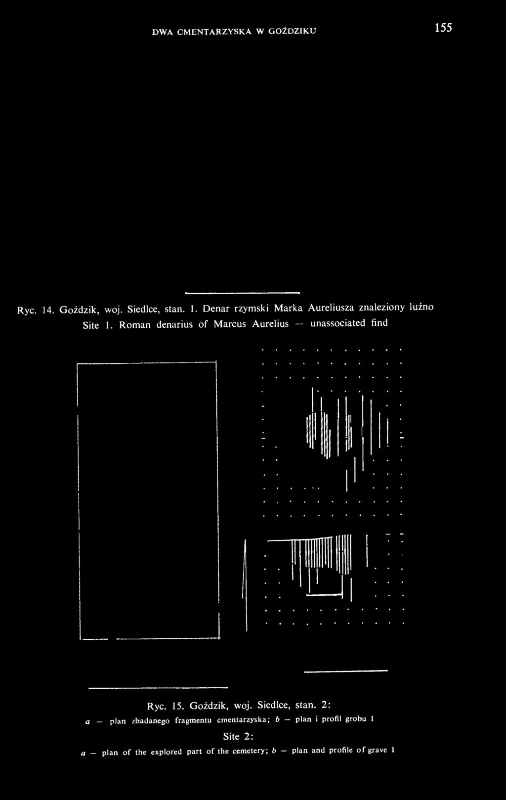 2: a plan zbadanego fragmentu cmentarzyska; b - plan i profil grobu 1 Site 2: a - plan of the