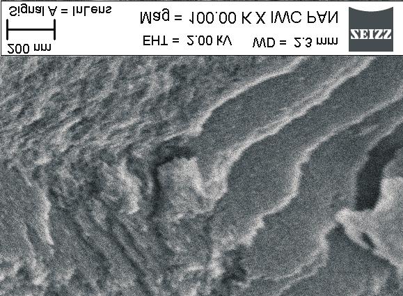 276 J. Choma, K. Jedynak, M. Marszewski, M. Jaroniec Rys. 5.