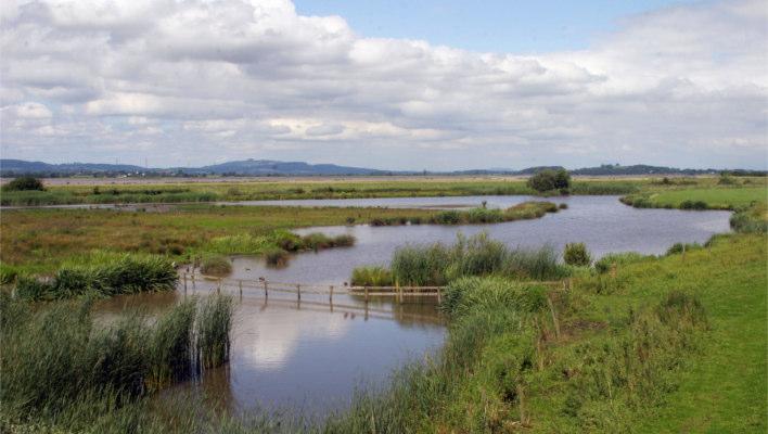 Fot 1. Sztuczne mokradło. Źródło: www.wildgooselodge.co.uk Przy budowie oczka wodnego ważnym elementem jest odpowiedni i prawidłowy dobór roślinności wodnej i bagiennej.