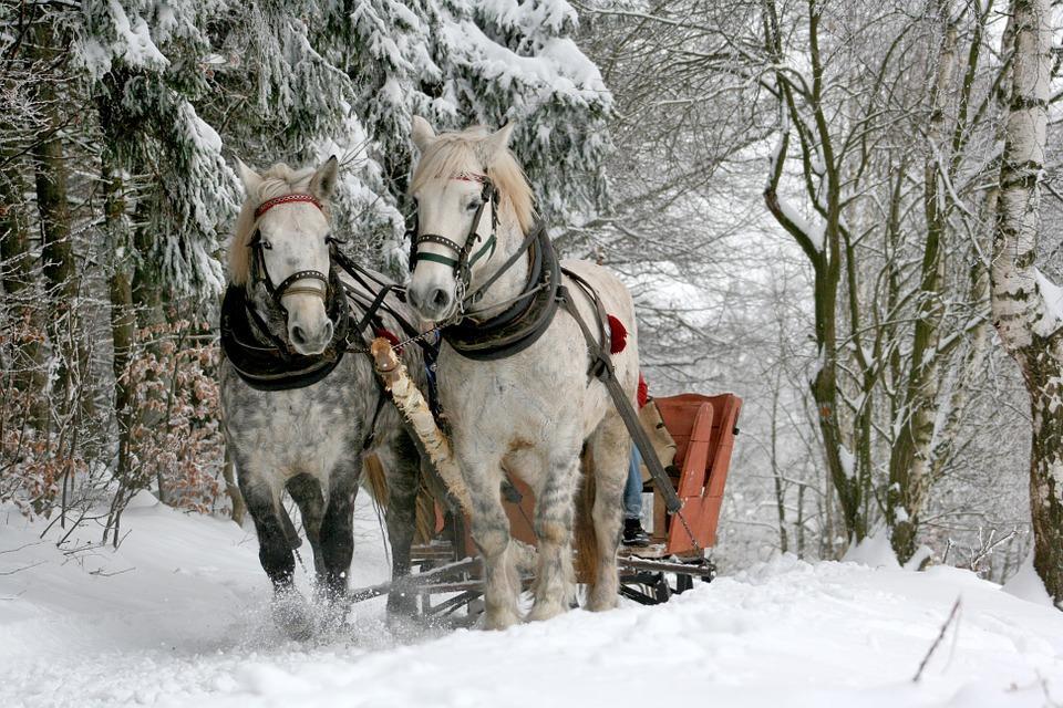 Dzień 2 sobota 02.12.2017 8:00-10:00 śniadanie w formie bufetu, dla najmłodszych naleśniki.