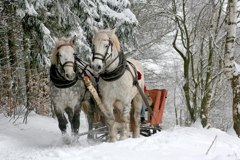 Dzień 2 Trzech Króli 06.01.