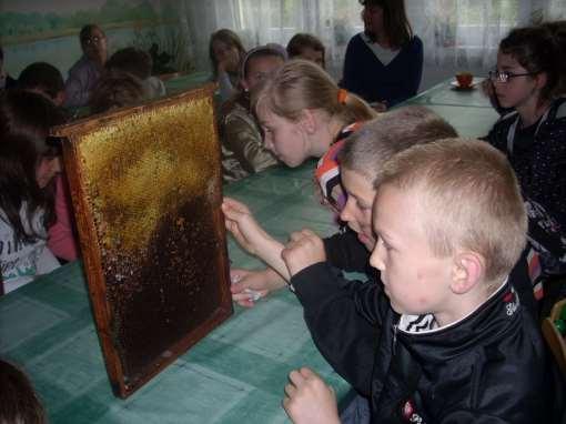 rodziny pszczelej i ogólna informacja o jej biologii, omówienie i pokaz