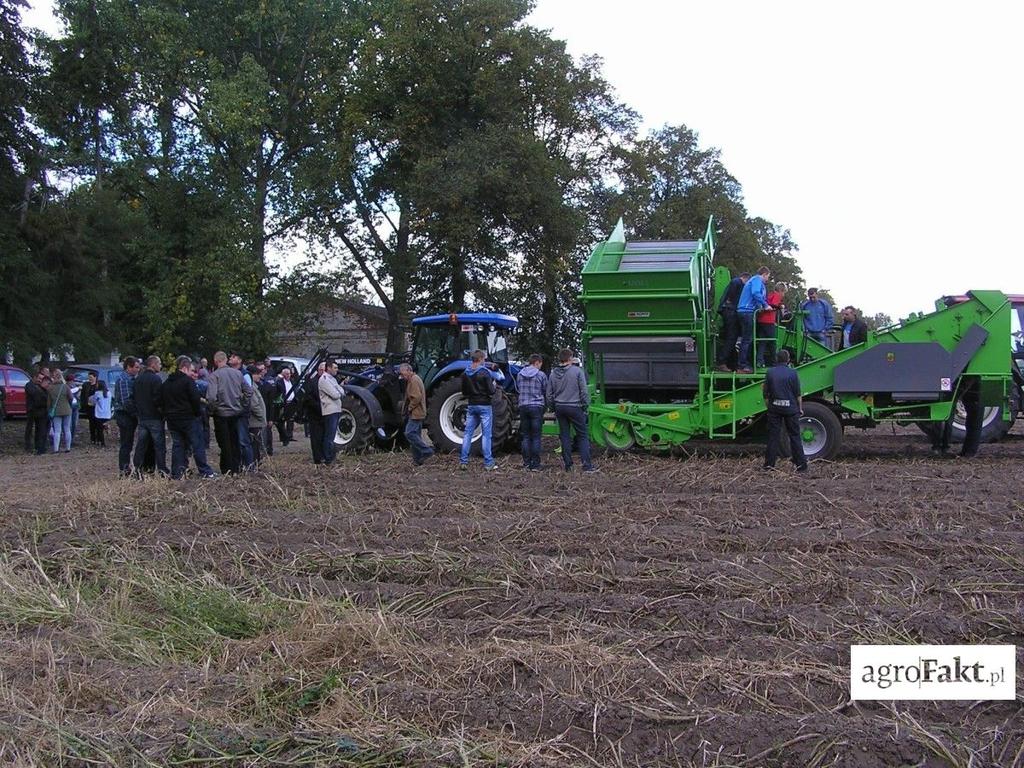 Imprezy odbywają się w Kościerzynie, ponieważ powierzchnia upraw ziemniaka w woj. łódzkim jest jedną z największych w kraju. (fot.