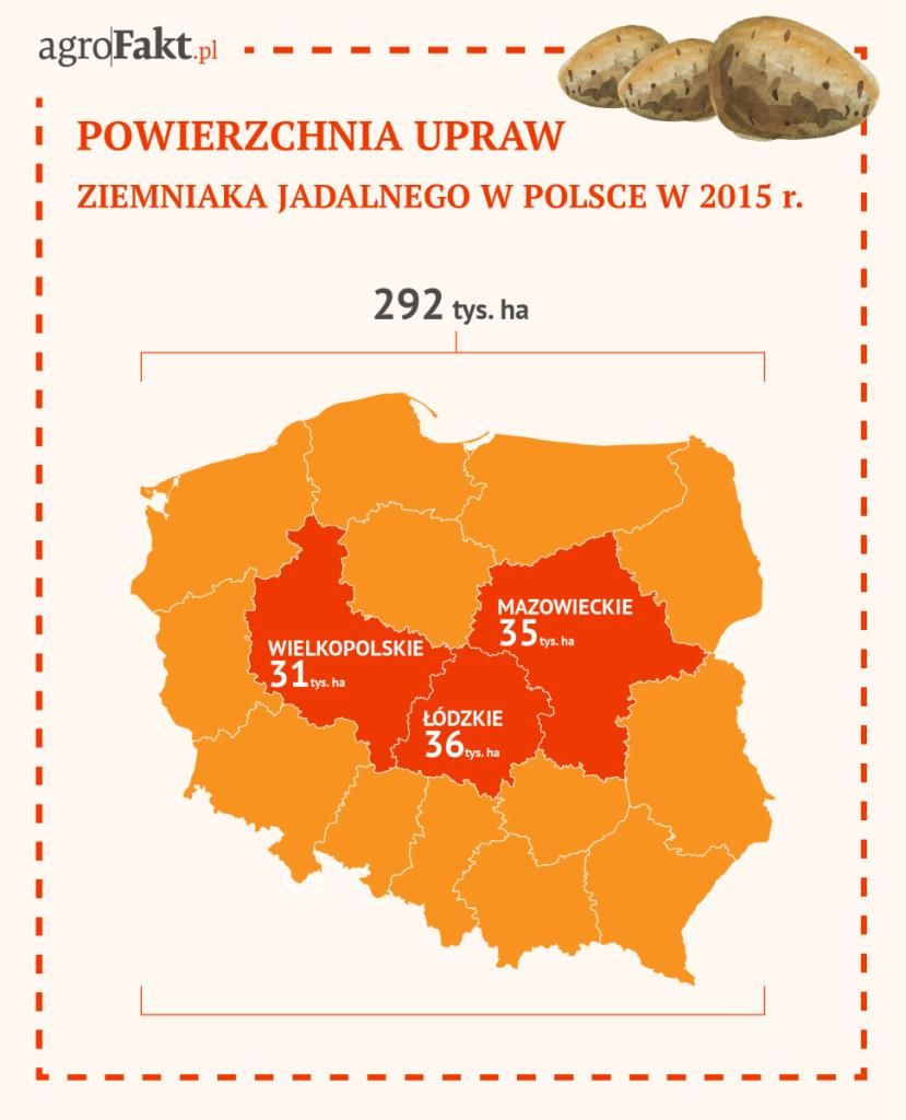 Powierzchnia upraw ziemniaka jadalnego w Polsce w 2015 r. Region ten należy do czołówki krajowej pod względem ilości i jakości produkowanych ziemniaków jadalnych z najsmaczniejszych odmian, m.in.