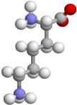 Bioinformatyka -9 skład aminokwasowy białek {rgos and Mcaldon} lanina jest bardzo