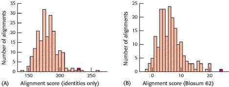 Bioinformatyka -9 liczba przyrównań liczba przyrównań Jakość dopasowań Mioglobina ludzka Leghemoglobina z łubinu punktacja przyrównania (tylko identyczne) punktacja przyrównania (BLOSUM6) ()