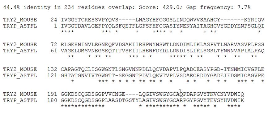 Bioinformatyka -9 Dlaczego homologia jest ważna?