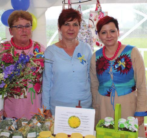 Odnawiają swoje wioski Lasowice Wielkie Od 20 lat w województwie opolskim realizowany jest program odnowy wsi, a w Lasowicach Wielkich - od 10 lat.