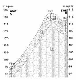 355 Ryc. 9. Kamionka, st. 1. Plan warstwicowy (wyk. J.