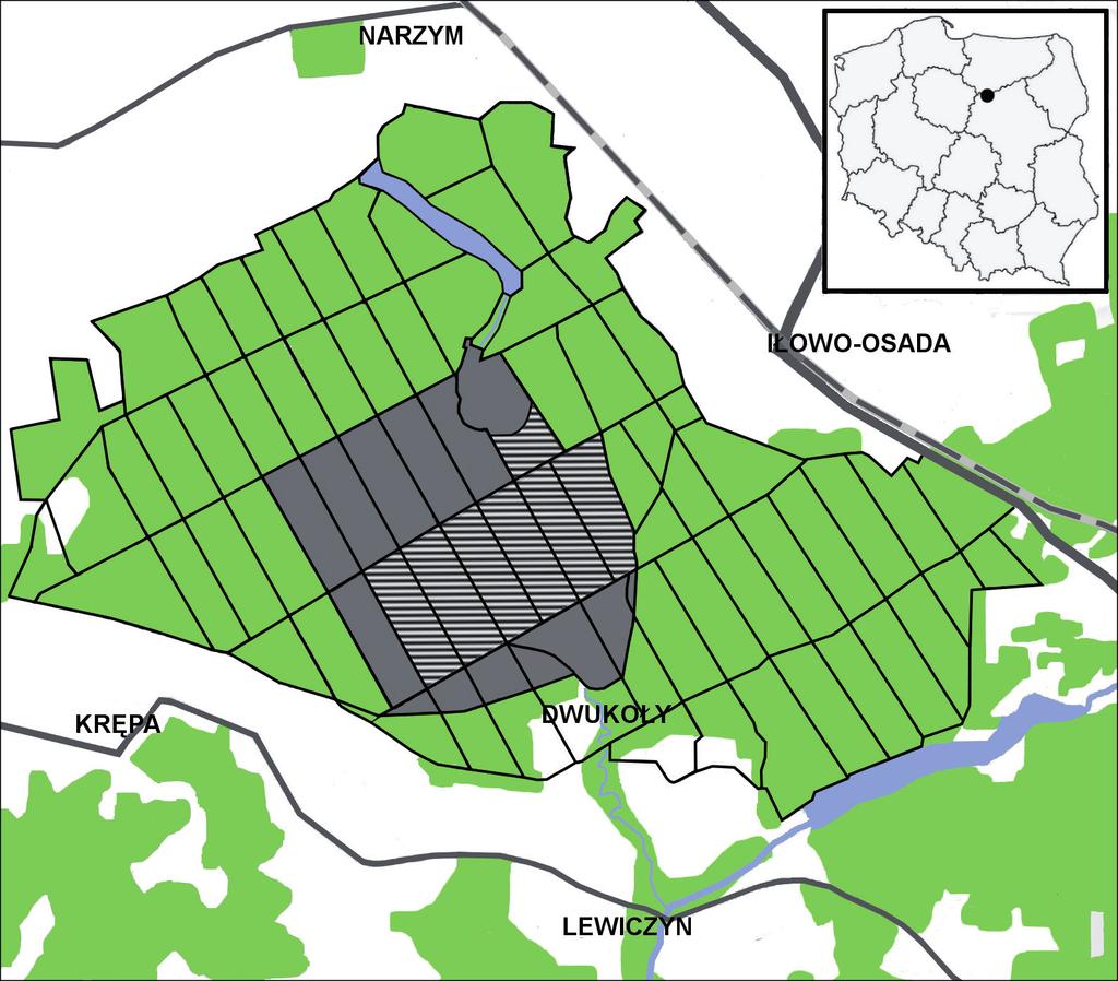 54 Kulon 20 (2015) tworząc blisko 150-letni starodrzew o zróżnicowanej strukturze, z dominującą sosną, z domieszką dębu, świerka Picea abies, grabu Carpinus betulus, lipy drobnolistnej Tilia cordata