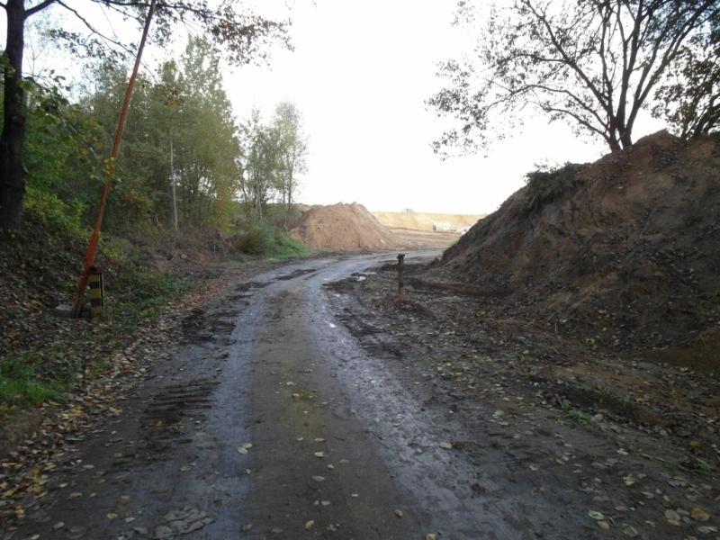 Waloryzacja geostanowiska Ekspozycja Dobrze wyeksponowany X Wymagający przygotowania Ocena Atrakcyjności Turystycznej [0-10] Ocena Atrakcyjności Dydaktycznej