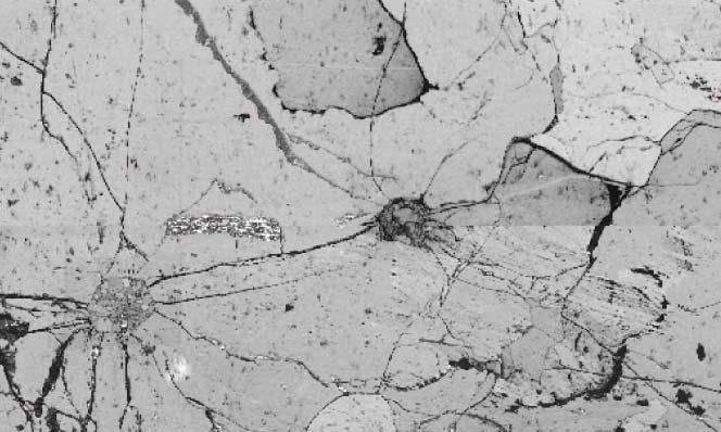 EBSD quality map General microstructure of the analyzed area Two of the inclusions (in the centre and lower left part of the image) are prominent with