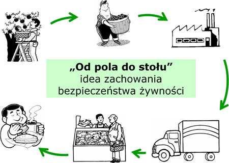 Mikrobiologiczne aspekty higieny w produkcji żywności Ogólne zasady zapobiegania zakażeniom i zatruciom pokarmowym Przeszkolenie personelu Kontrola procesu technologicznego