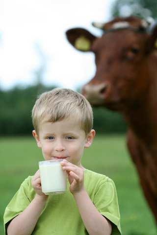 Mleko surowe Poziom ph świeżego mleka wynosi 6,5 ogólna liczba drobnoustrojów > 10 4 / cm 3 Dominujące grupy