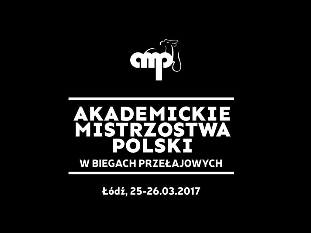 lodz.pl, amp.