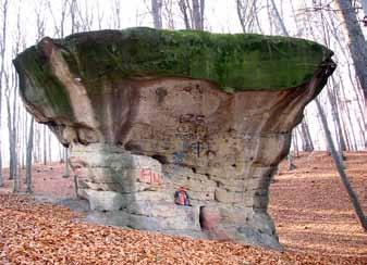 Geoturystyka 1-2 (16-17) 2009: 49-60 Piaskowcowo-zlepieńcowe formy skałkowe więcej niż atrakcja turystyczna Sandstone-conglomerate rocky forms more than a tourist attraction Piotr Strzeboński Wydział