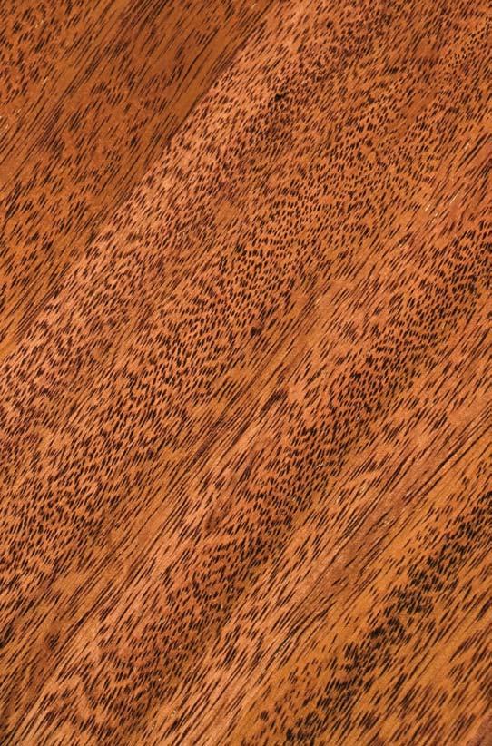 Merbau Elegance Drewno pochodzące z Indonezji i Malezji.