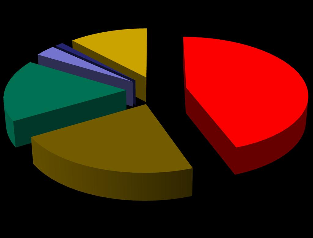 Struktura wydatków bieżących 1,25% 3,14%