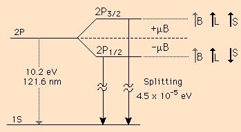 magnetycznym B z enegia spinu pzyjmuje watości: U + =+µ Β B z dla m s =+1/ U - =-µ B B z dla m s