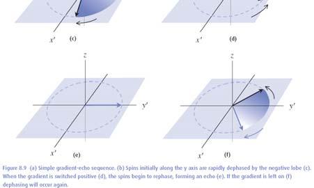 sygnał swobodnej pecesji (Fee Induction Decay - FID) (a) Sekwencja impulsów echa spinowego z gadientem pola magnetycznego (b) Moment magnetyczny obócony