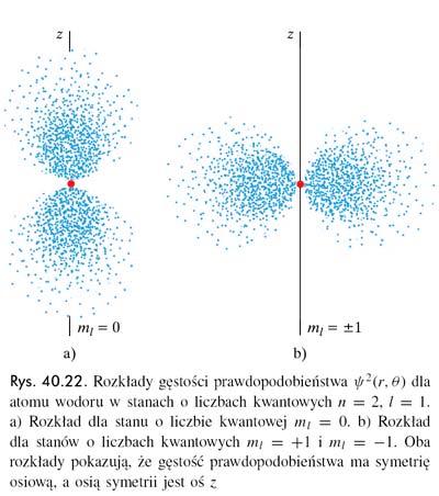 największą dozwoloną watość l=n-1 moment pędu jest ( l + 1) = h ( n