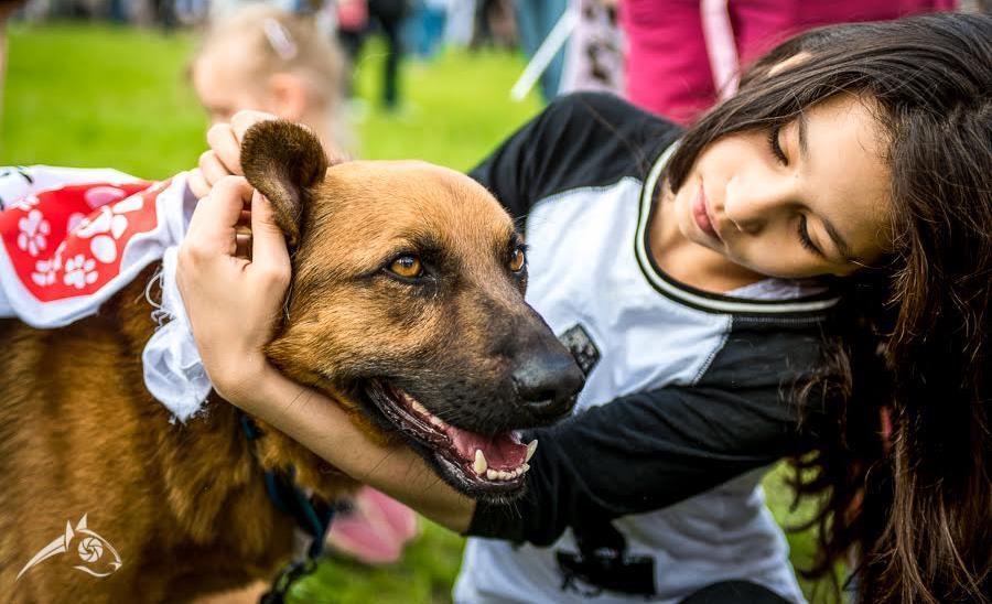 Dlaczego budujemy DOM dla Zwierząt Każdemu należy się szczęście.