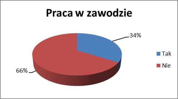 Pięć osób prowadzi własną działalność gospodarczą. Jedna osoba była zatrudniona zarówno w ramach umowy stałej o pracę, jak i prowadziła własną firmę.