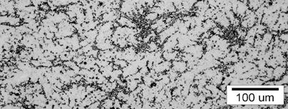 Microstructures of AZ91 alloy a as cast condition, mag. 200 ; b hot worked, cross section, mag.