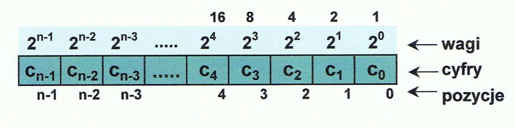 Wykład 1 1-5 W systemie dwójkowym - podstawa P=2 - zbiór dozwolonych cyfr