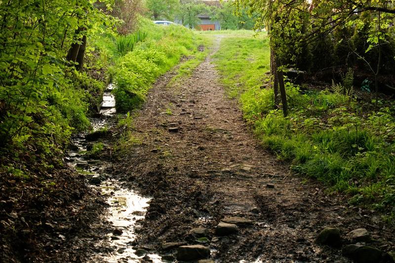 pięknem, oraz świeżymi barwami, foto wykonane za Lasem Waliska Przed nami ostatni odcinek trasy,