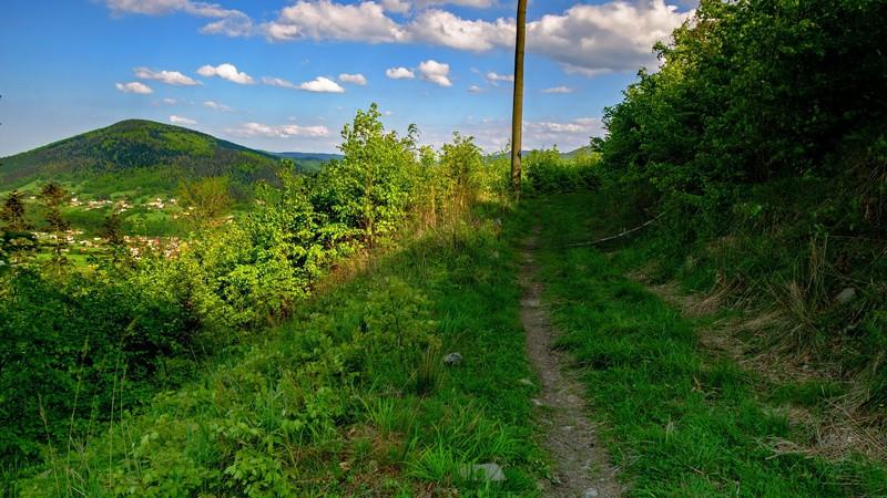 utrudnia zejście, choć istnieją tu widoczne ścieżki znacznie lepiej jest wybrać się ruin