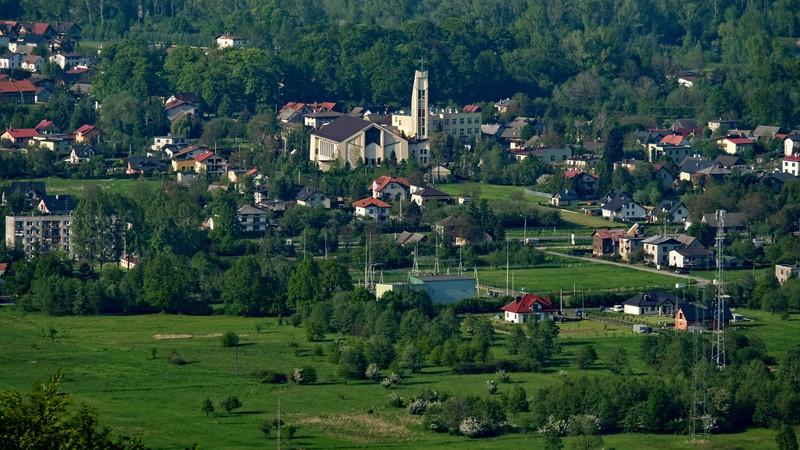 wprowadzając nas z powrotem w lasu liściastego.