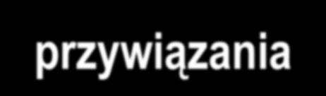 Są to: wątek indywiduacji i wątek związków z innymi ludźmi - wątek przywiązania W każdym z